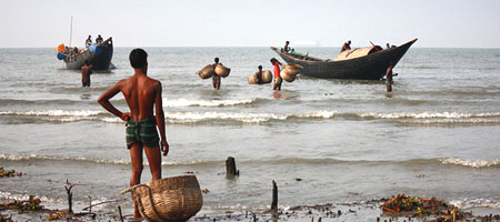 west bengal government sundarban tourism